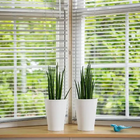 87, Gelegen In Het Rustige & Bosrijke Oisterwijk! Oisterwijk