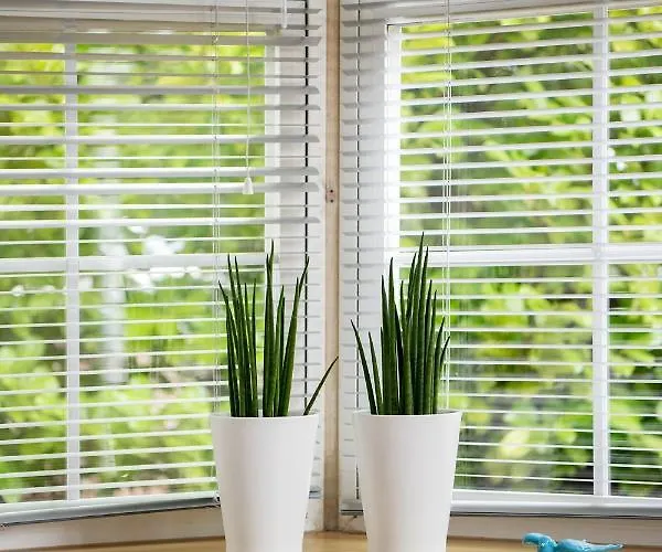 87, Gelegen In Het Rustige & Bosrijke Oisterwijk! Oisterwijk